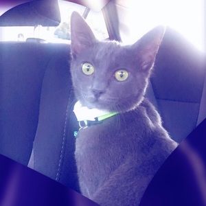 Meet your Posher, Christina